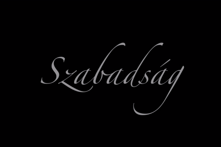 A Szegedi Nemzeti Színház tánckarának Szabadság című videója a tánc világnapja alkalmából