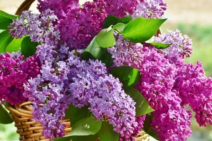 Anyák napja 2020 – üzenet a karanténból