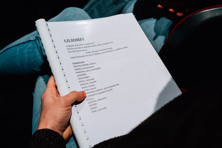 Liliomfi a Váci Dunakanyar Színházban