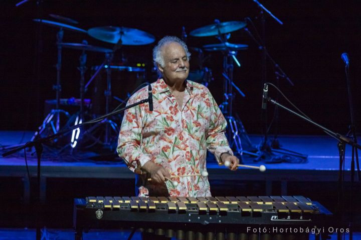 A vibrafonkirály üvegpalotája