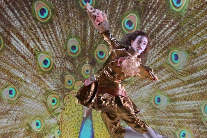 Királyok gyógyítója