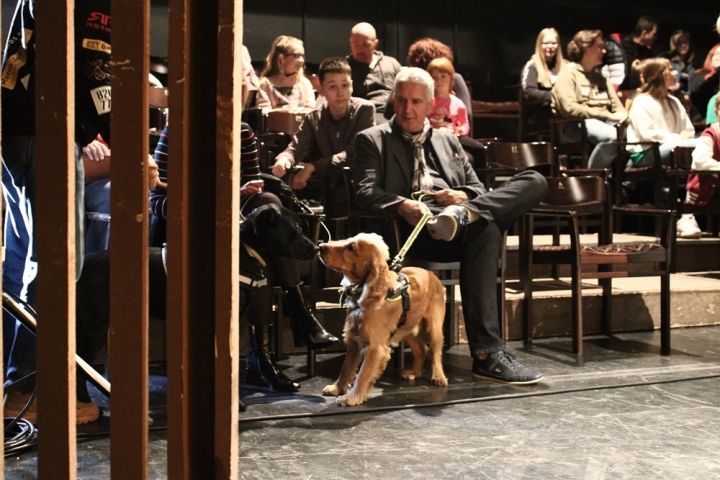  Rendkívüli kezdeményezés a Veszprémi Petőfi Színháztól