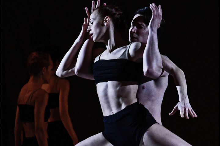 „Különleges kapocs alakul ki közöttünk”