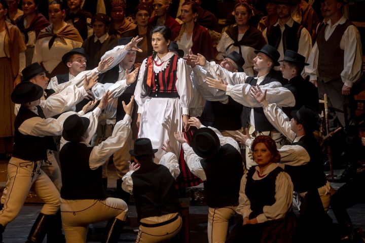 A Nemzeti Színházban mutatták be a VISzEM program díszelőadását