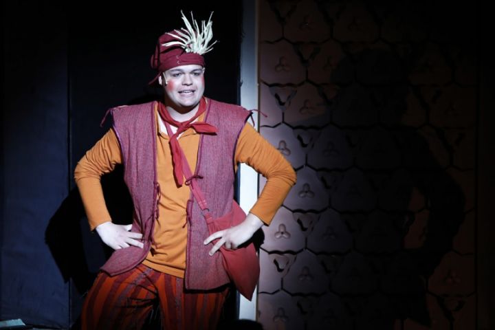 „Ő egy igazi póré kópé” – Hagymácska mesemusical a Veszprémi Petőfi Színházban