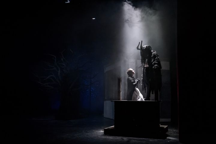 Vágvölgyi Zsófia, Kovács József