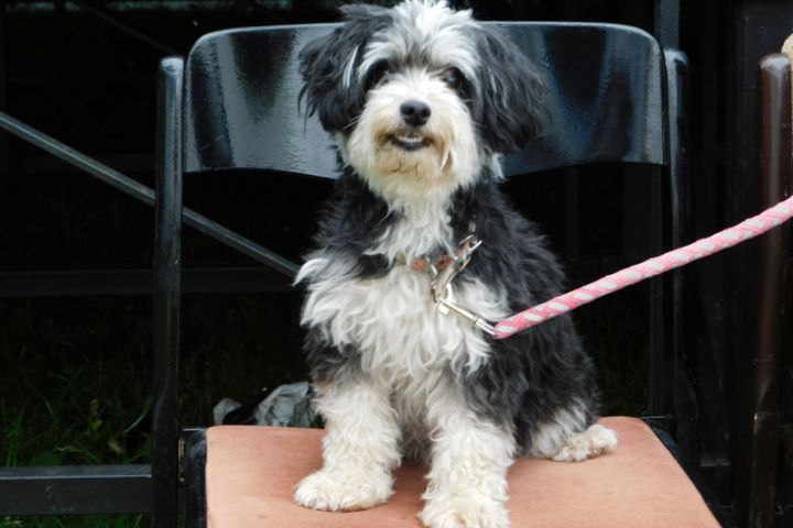 SzínHázVilág táborunk első turnusa: „Olyan jó volt, hogy jövőre is jövök!”