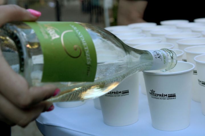 Operettgálával köszönték meg a Hősök munkáját