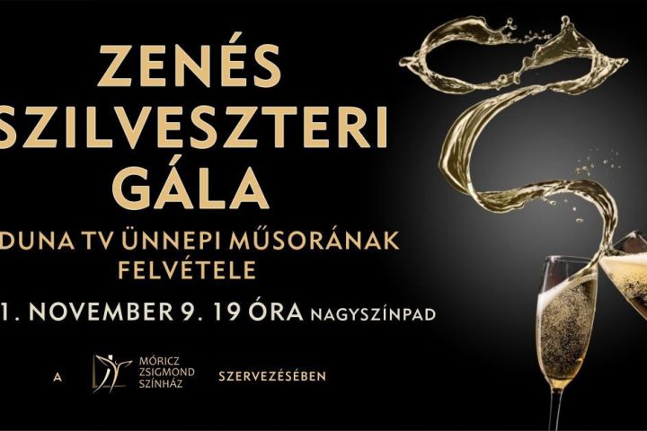 Zenés szilveszteri gála - a Duna Tv ünnepi műsorának felvétele