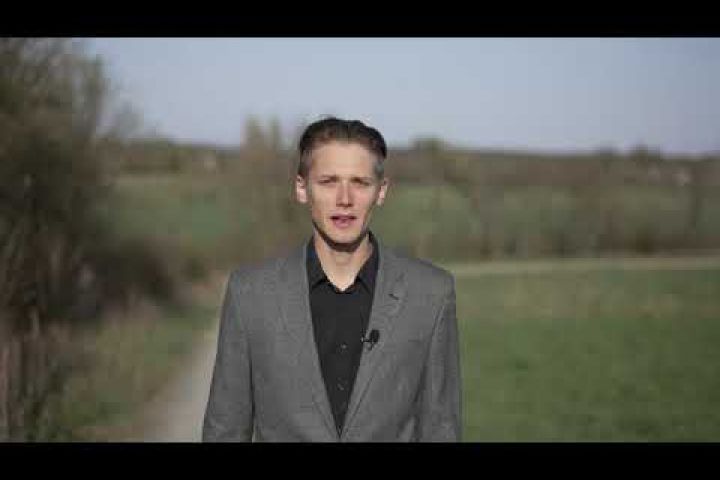 A magyar költészet napja